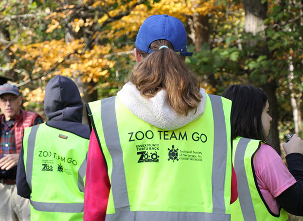Zoo Team Go