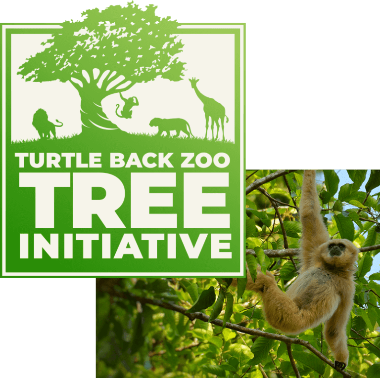 The Zoological Society of New Jersey At Turtle Back Zoo