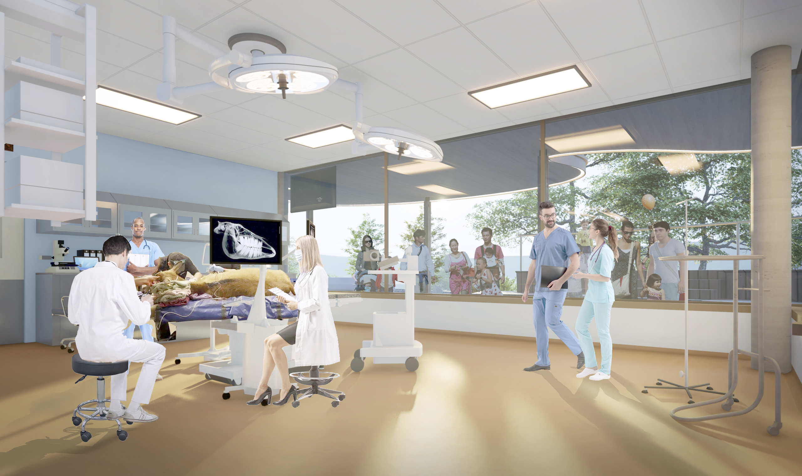 BOARD-4_treatment-room_40-x-30_2023-04-27