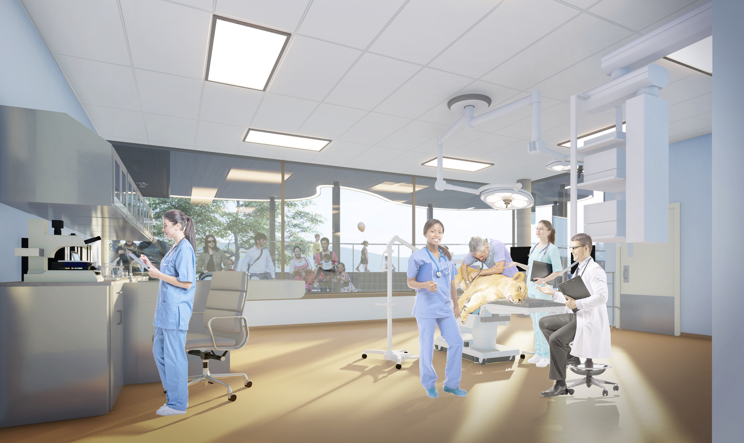 BOARD-5_treatment-rm_40-X-30_2023-04-27